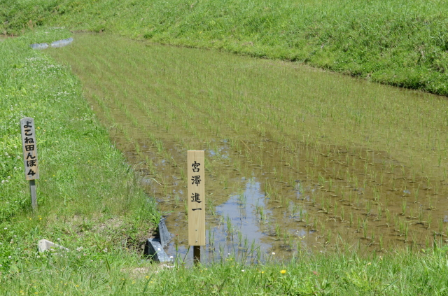 よこね田んぼオーナー